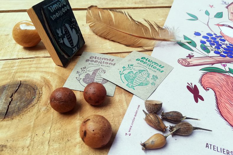 Identité visuelle et illustrations pour Plumes et Papillons